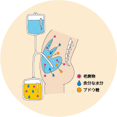 腹膜の仕組み
